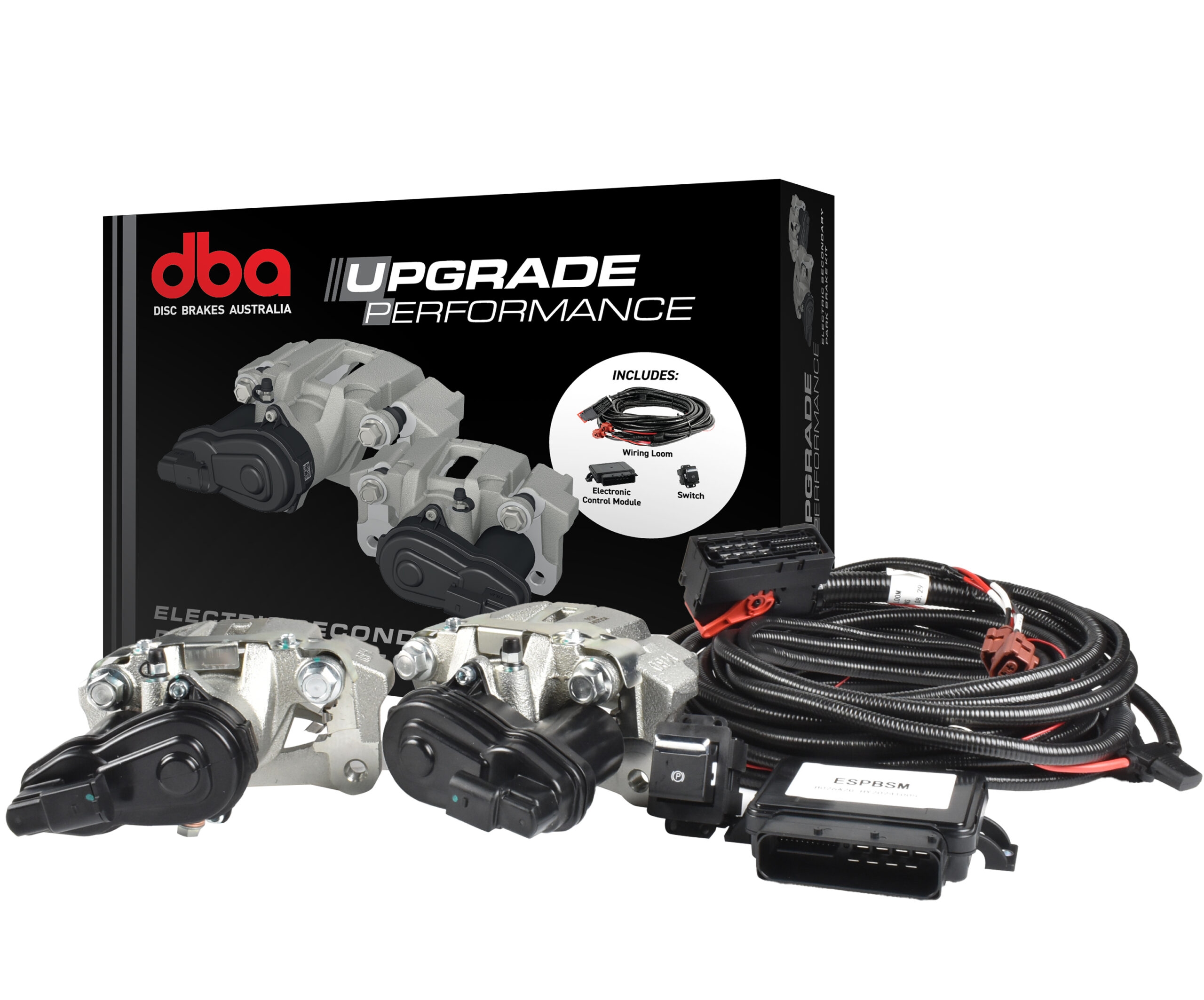 Electric Secondary Park Brake Switch Type